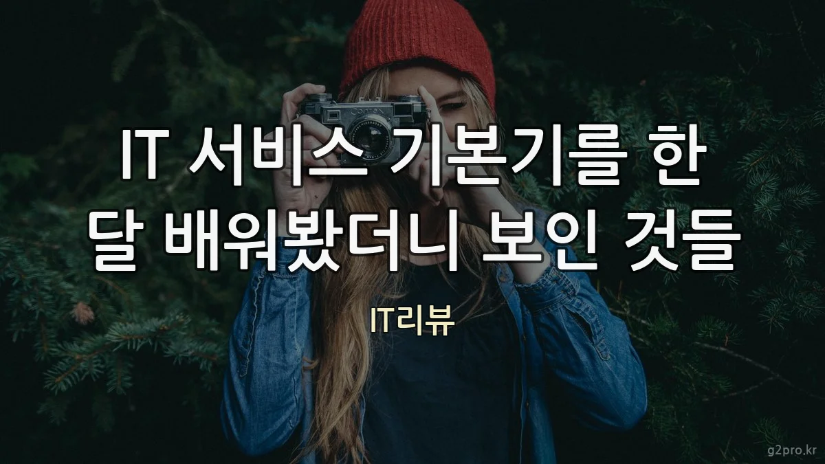IT 서비스 기본기를 한 달 배워봤더니 보인 것들