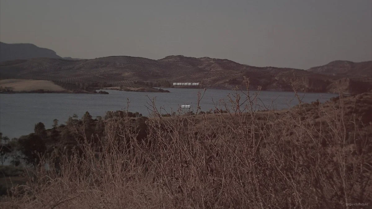 컬러 드롭핑 대 벽지 패턴, 인테리어 선택 가이드