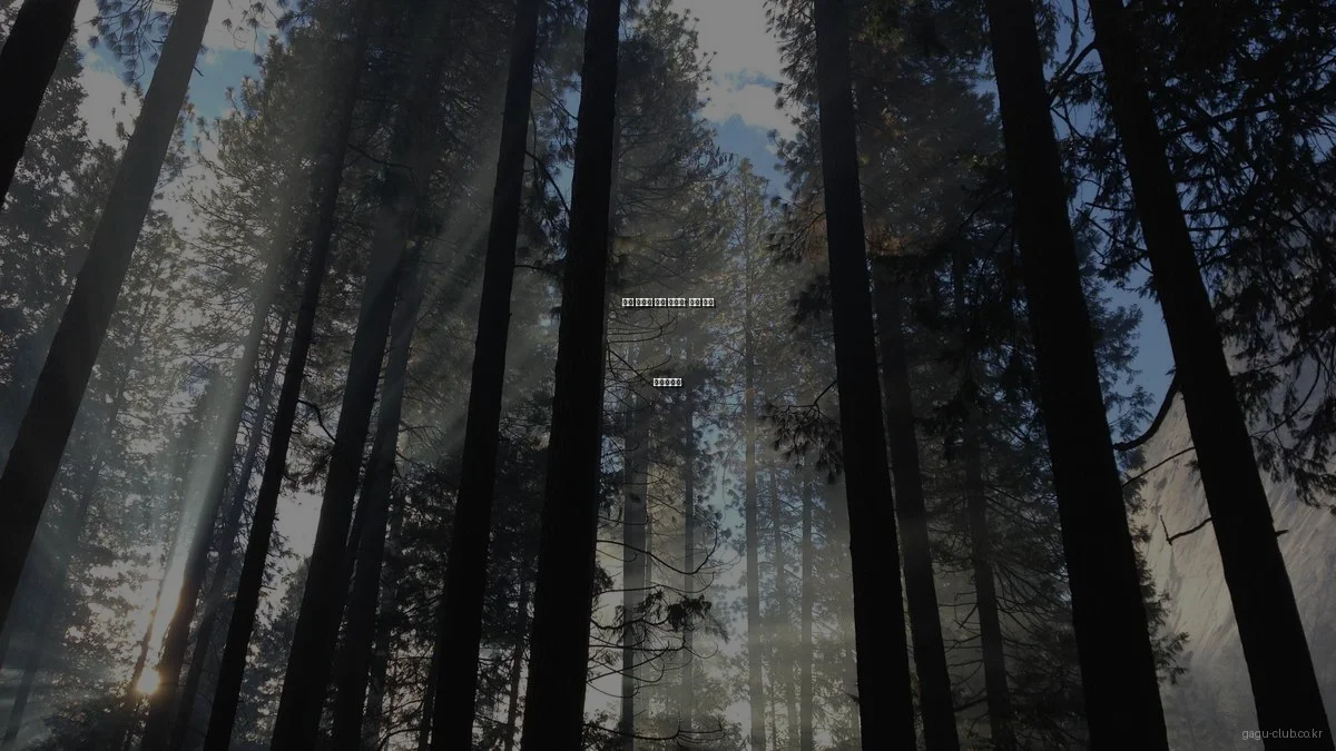 컬러 드롭핑 완벽 가이드: 실패 없는 체크리스트