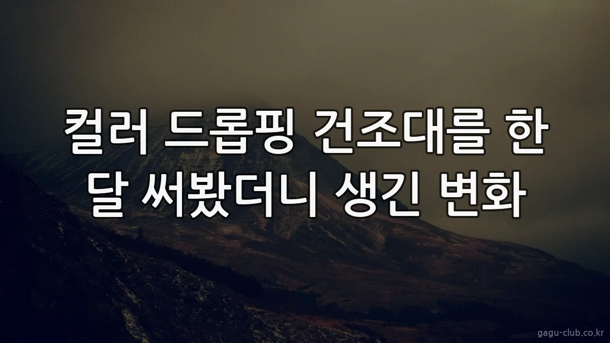 컬러 드롭핑 건조대를 한 달 써봤더니 생긴 변화