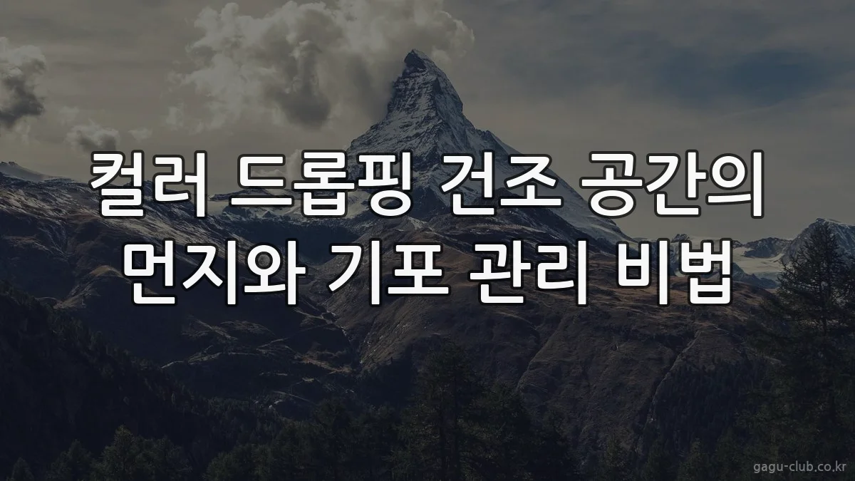 컬러 드롭핑 건조 공간의 먼지와 기포 관리 비법