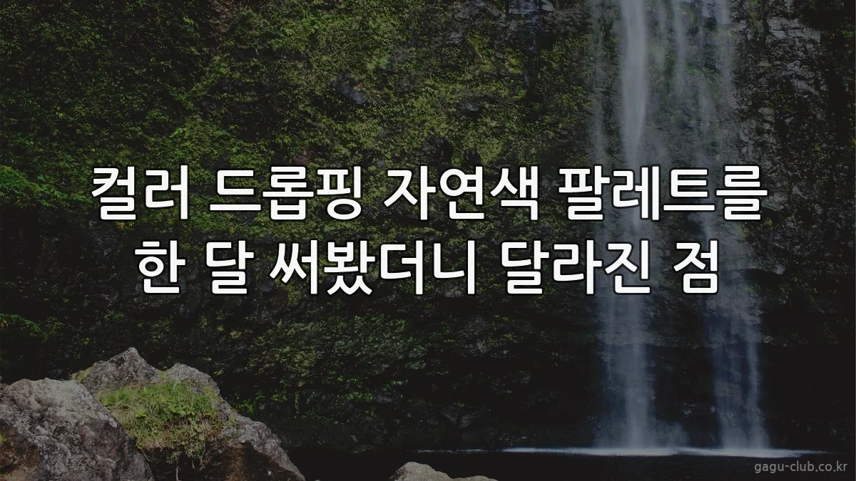 컬러 드롭핑 자연색 팔레트를 한 달 써봤더니 달라진 점
