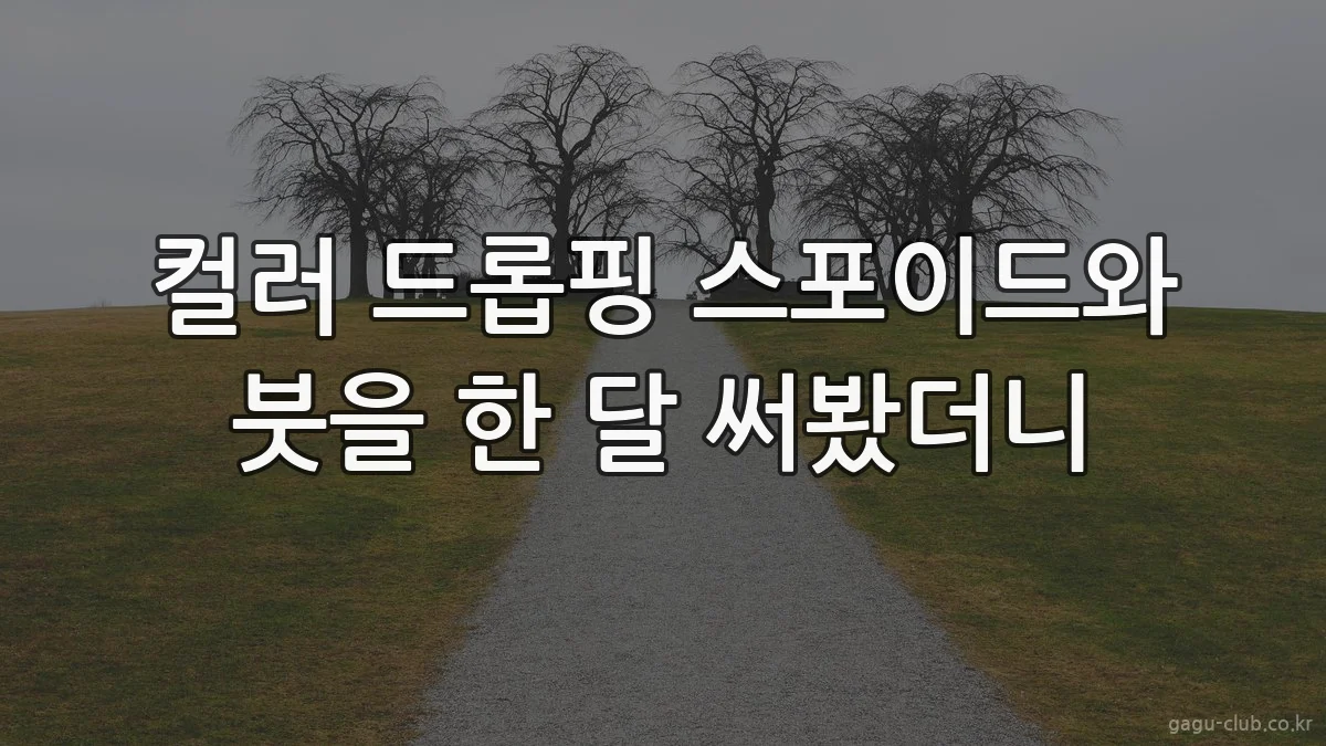 컬러 드롭핑 스포이드와 붓을 한 달 써봤더니