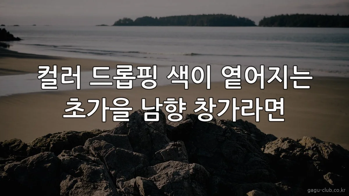 컬러 드롭핑 색이 옅어지는 초가을 남향 창가라면
