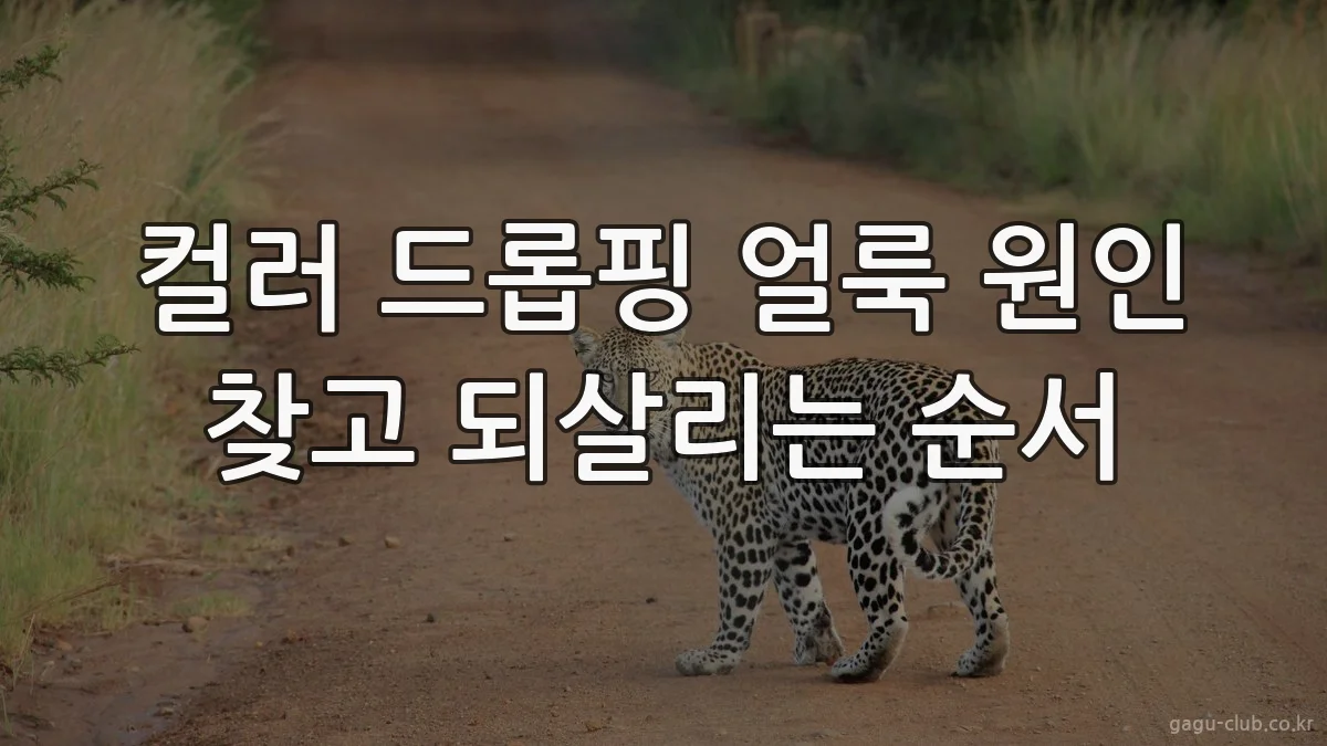 컬러 드롭핑 얼룩 원인 찾고 되살리는 순서