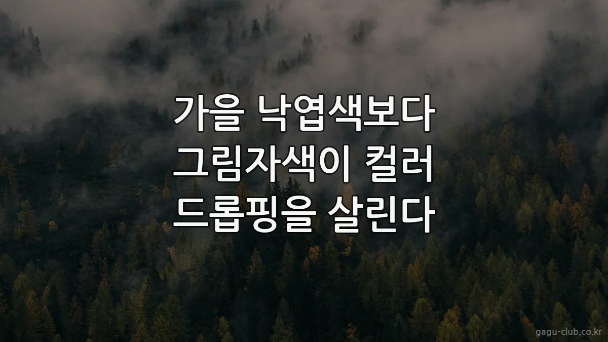 가을 낙엽색보다 그림자색이 컬러 드롭핑을 살린다