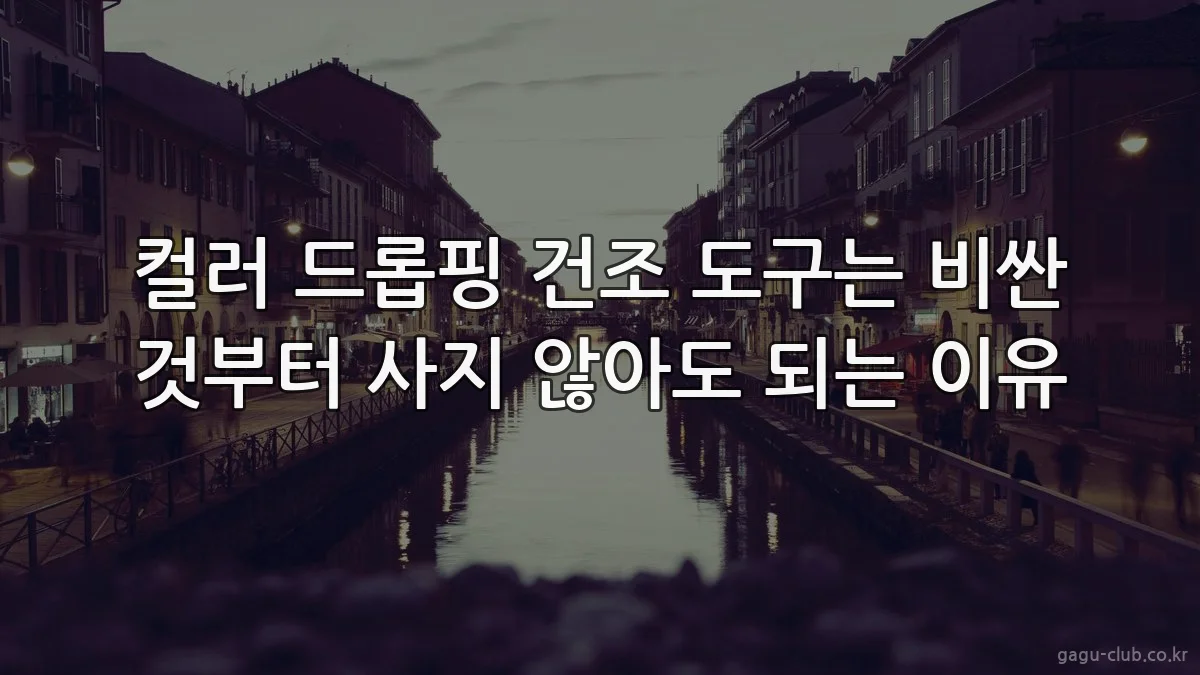 컬러 드롭핑 건조 도구는 비싼 것부터 사지 않아도 되는 이유