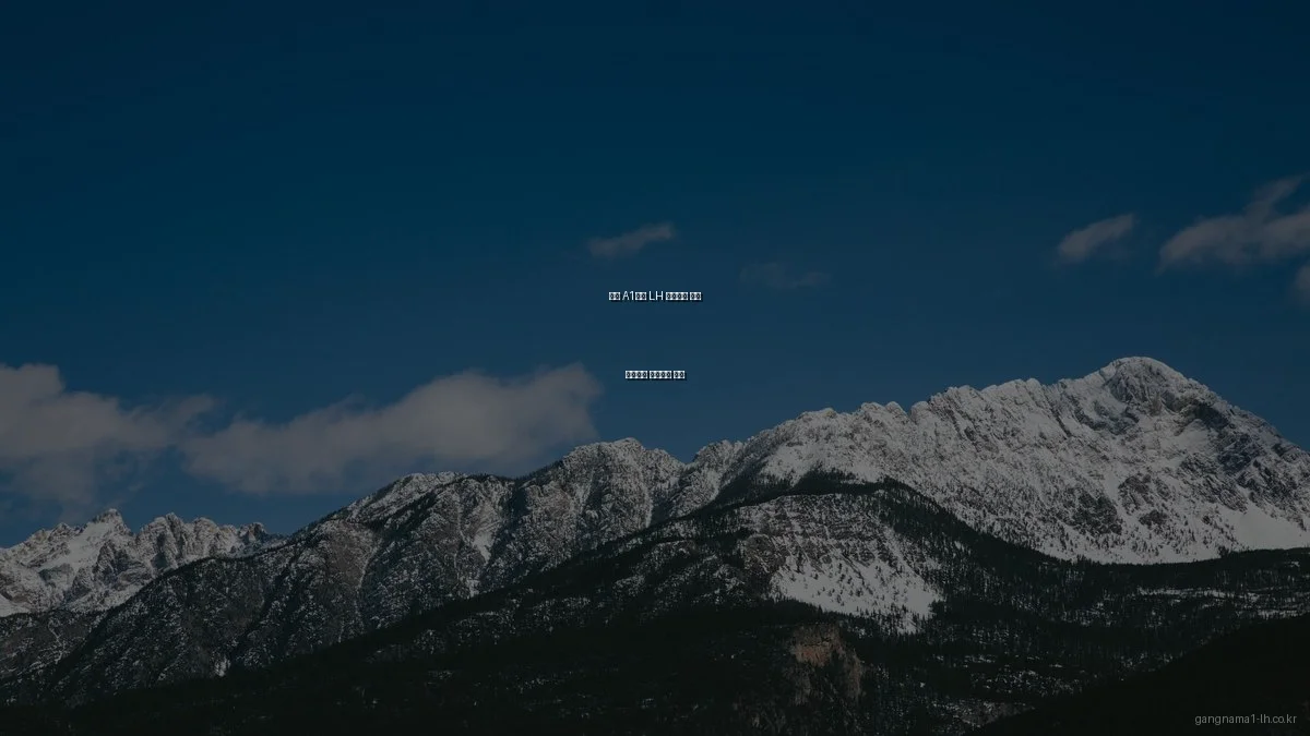 강남 A1블록 LH 아파트와 민간 아파트의 공공분양 대결