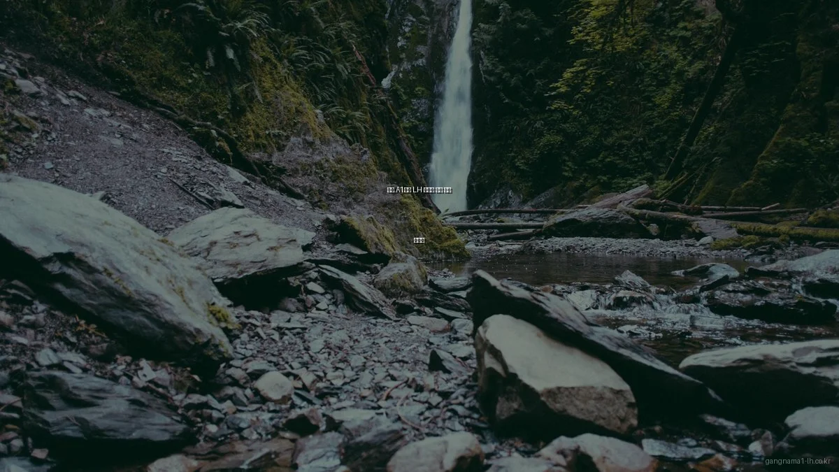 강남 A1블록 LH 아파트 청약 입문 가이드