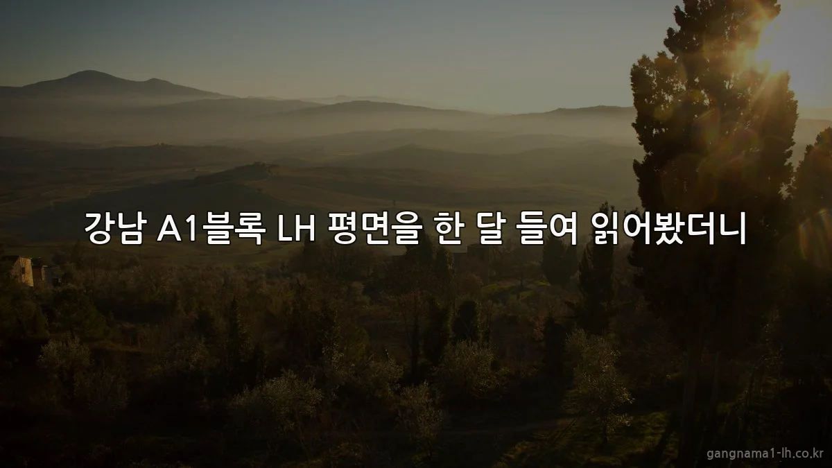 강남 A1블록 LH 평면을 한 달 들여 읽어봤더니