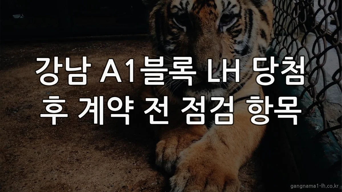 강남 A1블록 LH 당첨 후 계약 전 점검 항목