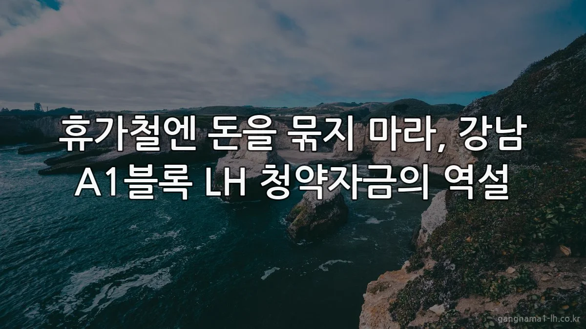 휴가철엔 돈을 묶지 마라, 강남 A1블록 LH 청약자금의 역설