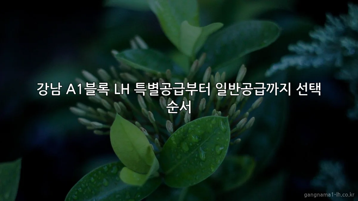 강남 A1블록 LH 특별공급부터 일반공급까지 선택 순서
