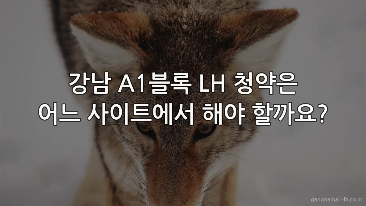 강남 A1블록 LH 청약은 어느 사이트에서 해야 할까요?