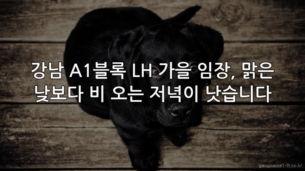 강남 A1블록 LH 가을 임장, 맑은 낮보다 비 오는 저녁이 낫습니다