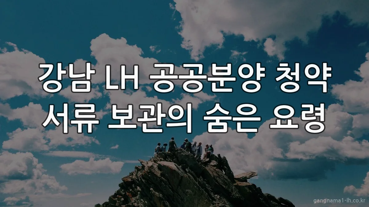 강남 LH 공공분양 청약 서류 보관의 숨은 요령