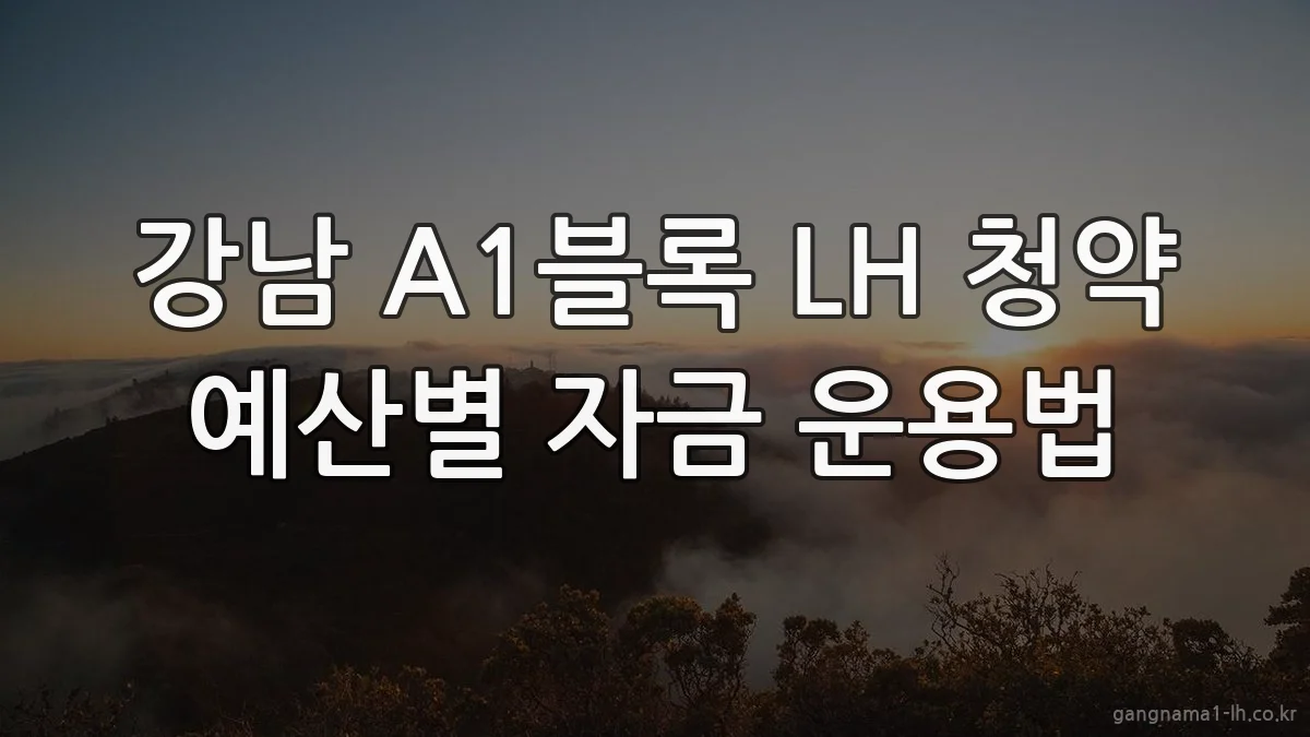 강남 A1블록 LH 청약 예산별 자금 운용법