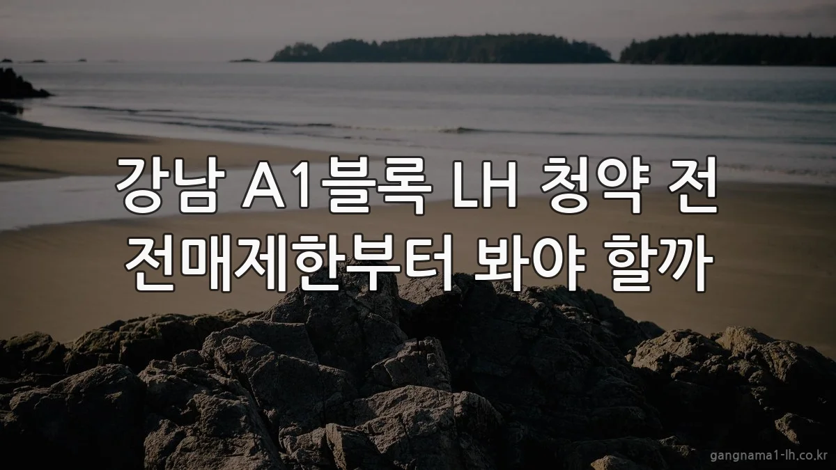 강남 A1블록 LH 청약 전 전매제한부터 봐야 할까