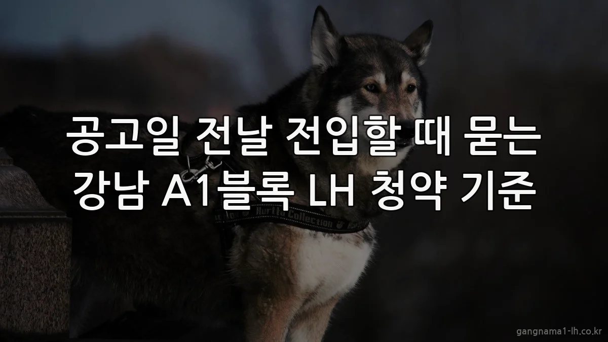 공고일 전날 전입할 때 묻는 강남 A1블록 LH 청약 기준