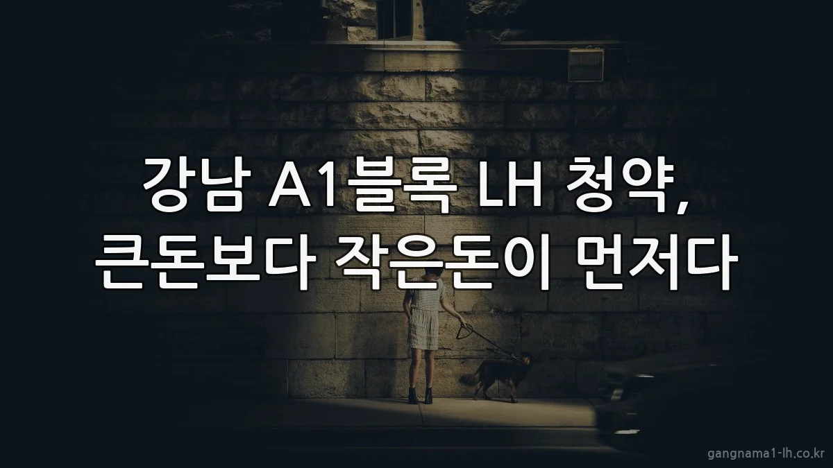 강남 A1블록 LH 청약, 큰돈보다 작은돈이 먼저다