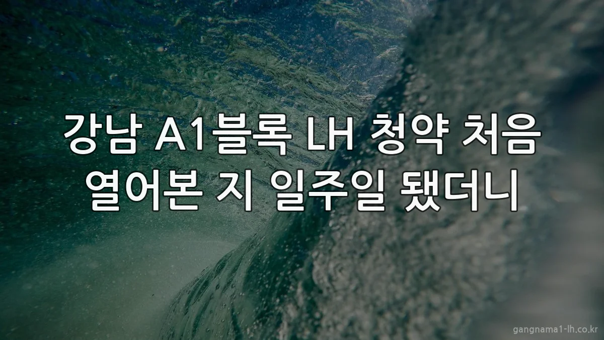 강남 A1블록 LH 청약 처음 열어본 지 일주일 됐더니