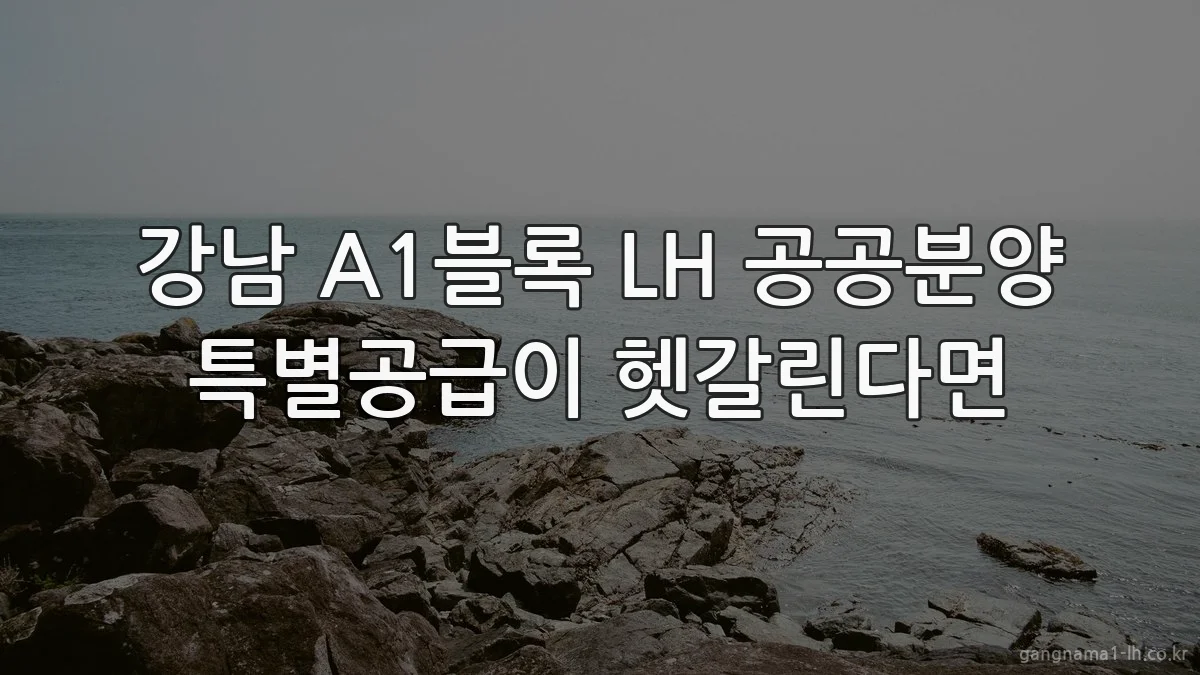 강남 A1블록 LH 공공분양 특별공급이 헷갈린다면