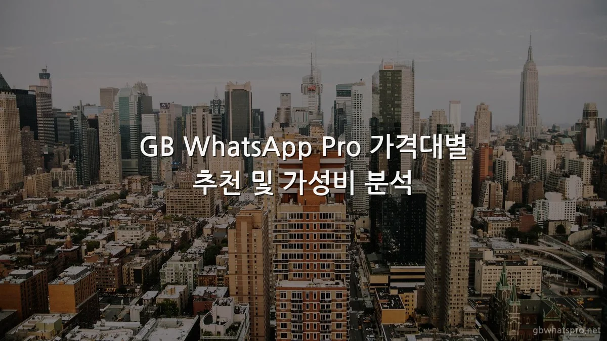 GB WhatsApp Pro 가격대별 추천 및 가성비 분석