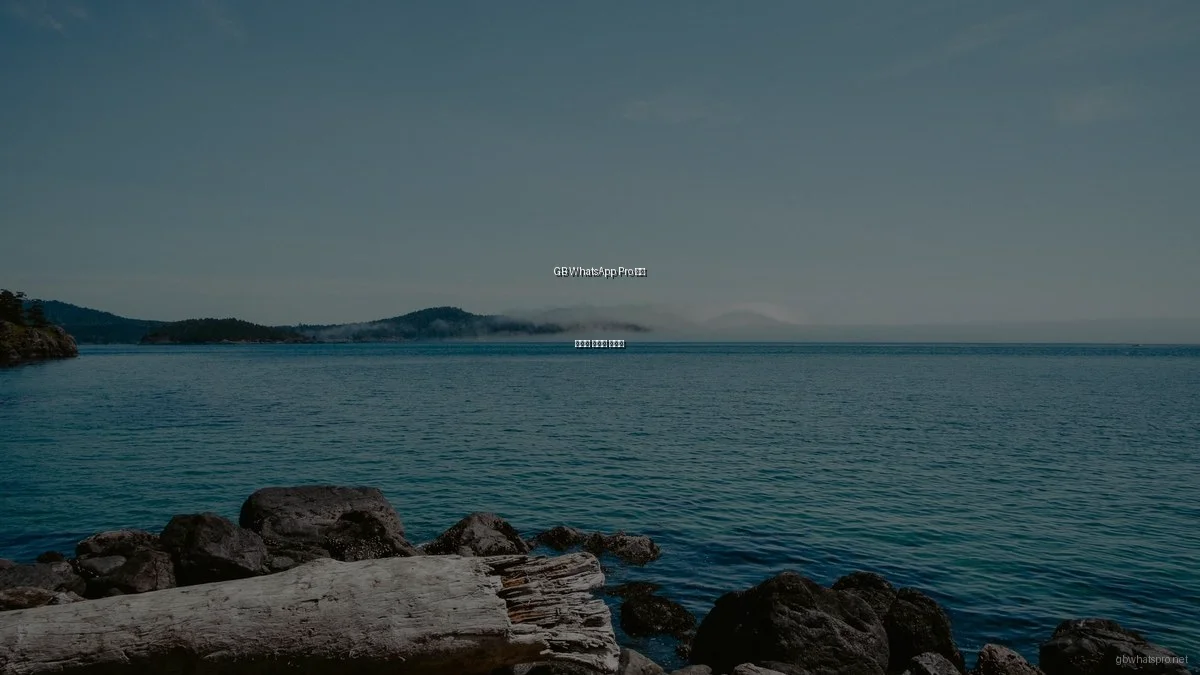 GB WhatsApp Pro 최신 기능과 활용법 인터뷰