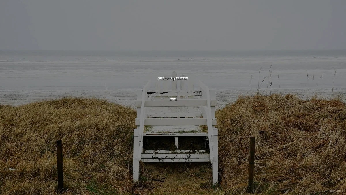 GB WhatsApp 실제 사용 후기와 꿀팁 모음