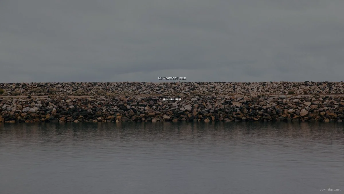 GB WhatsApp Pro 초보자 가이드: 시작부터 활용까지