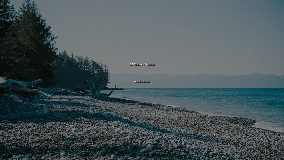 GB WhatsApp Pro 문제 해결 가이드: 흔한 실수와 해결법