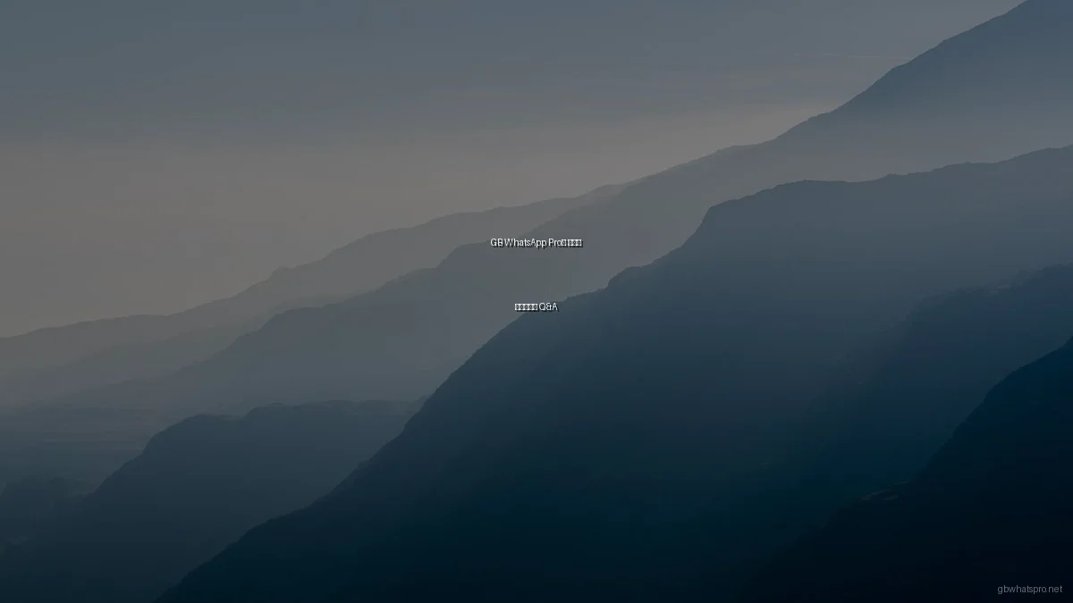 GB WhatsApp Pro의 보안과 프라이버시 Q&A