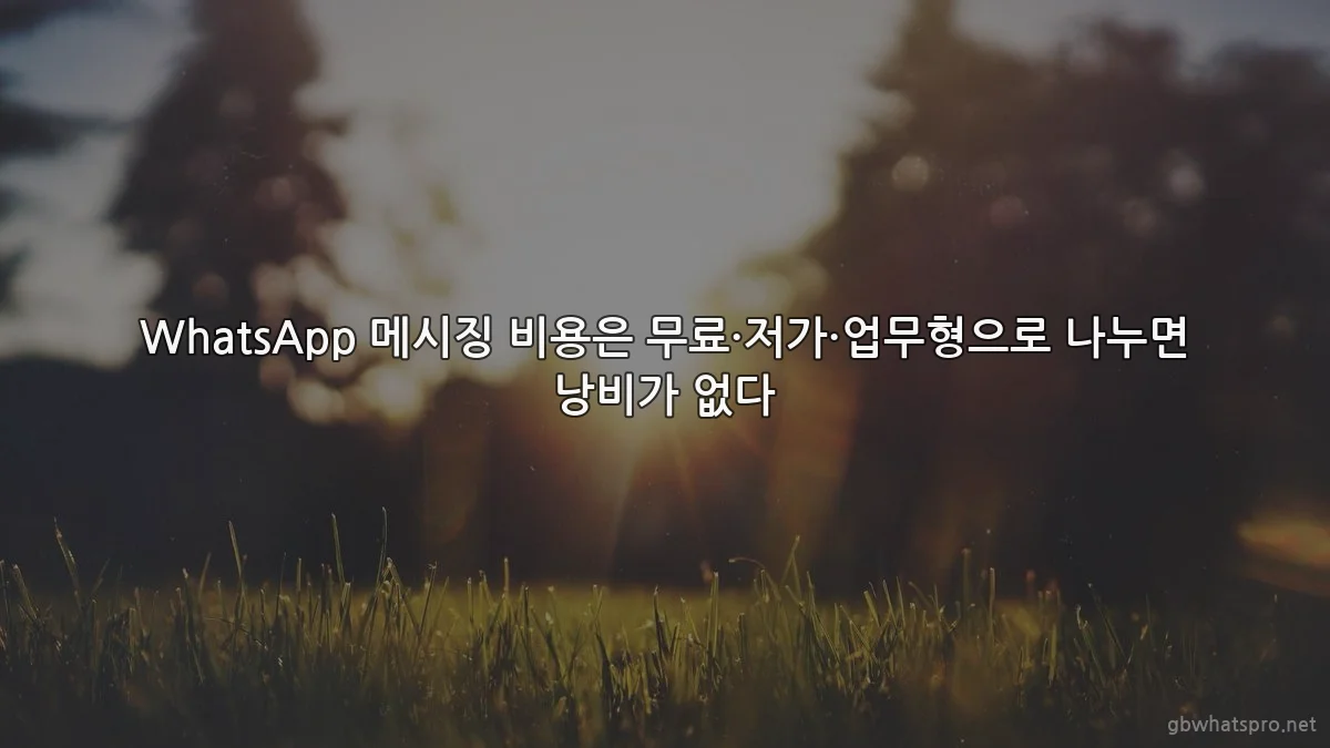 WhatsApp 메시징 비용은 무료·저가·업무형으로 나누면 낭비가 없다