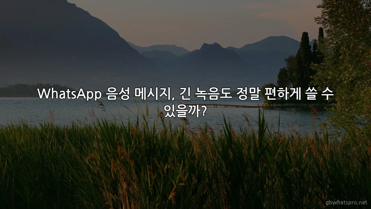 WhatsApp 음성 메시지, 긴 녹음도 정말 편하게 쓸 수 있을까?