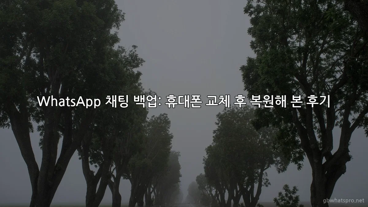 WhatsApp 채팅 백업: 휴대폰 교체 후 복원해 본 후기