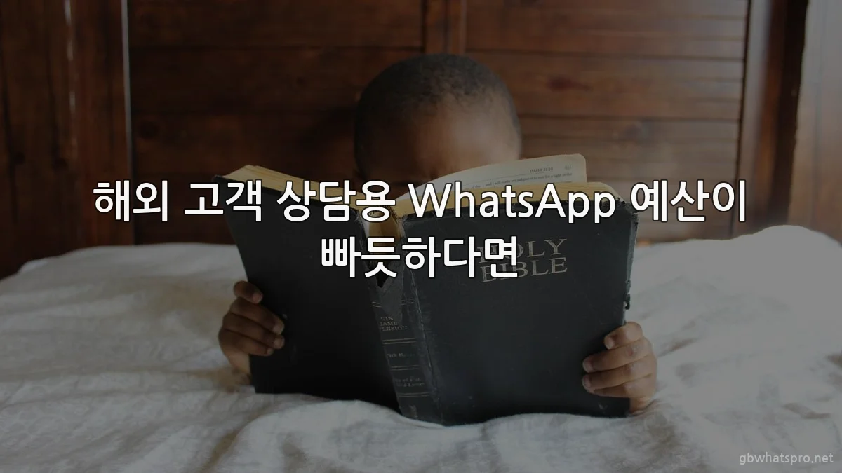 해외 고객 상담용 WhatsApp 예산이 빠듯하다면