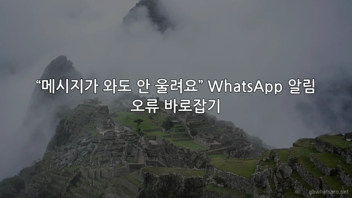 “메시지가 와도 안 울려요” WhatsApp 알림 오류 바로잡기