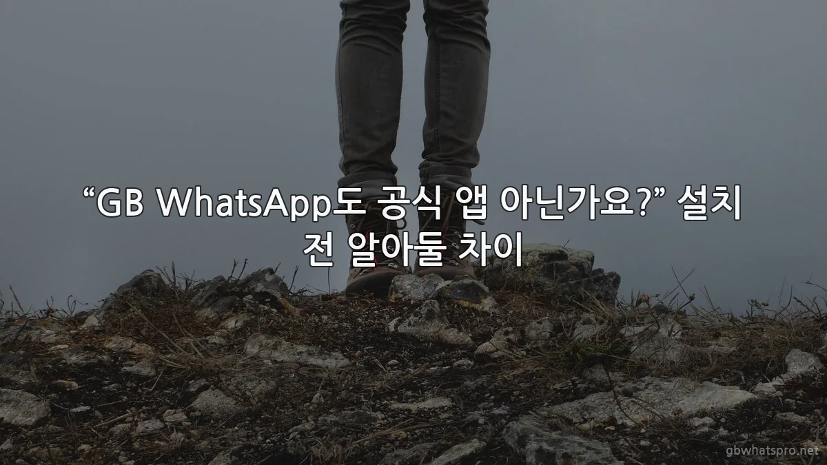 “GB WhatsApp도 공식 앱 아닌가요?” 설치 전 알아둘 차이