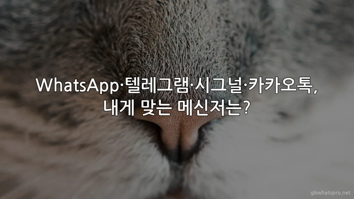 WhatsApp·텔레그램·시그널·카카오톡, 내게 맞는 메신저는?