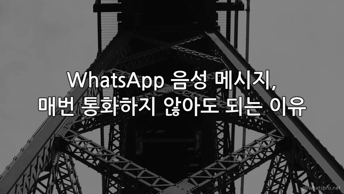 WhatsApp 음성 메시지, 매번 통화하지 않아도 되는 이유