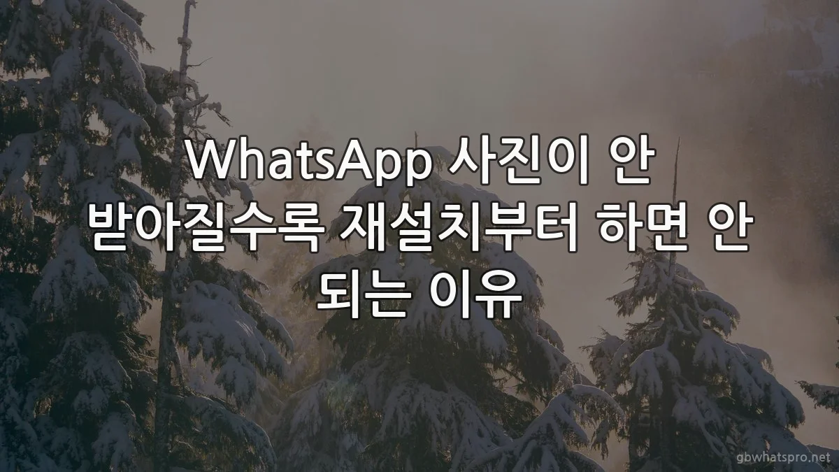 WhatsApp 사진이 안 받아질수록 재설치부터 하면 안 되는 이유