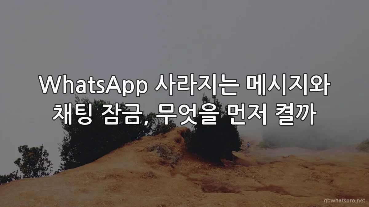 WhatsApp 사라지는 메시지와 채팅 잠금, 무엇을 먼저 켤까