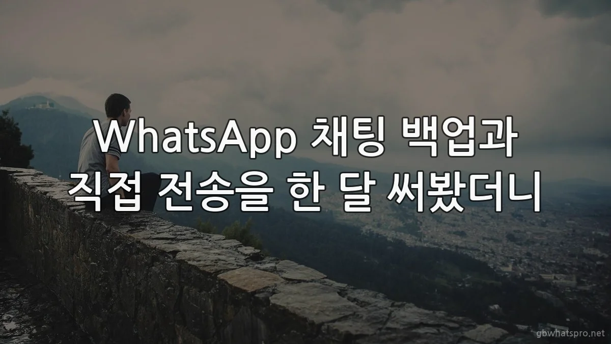 WhatsApp 채팅 백업과 직접 전송을 한 달 써봤더니