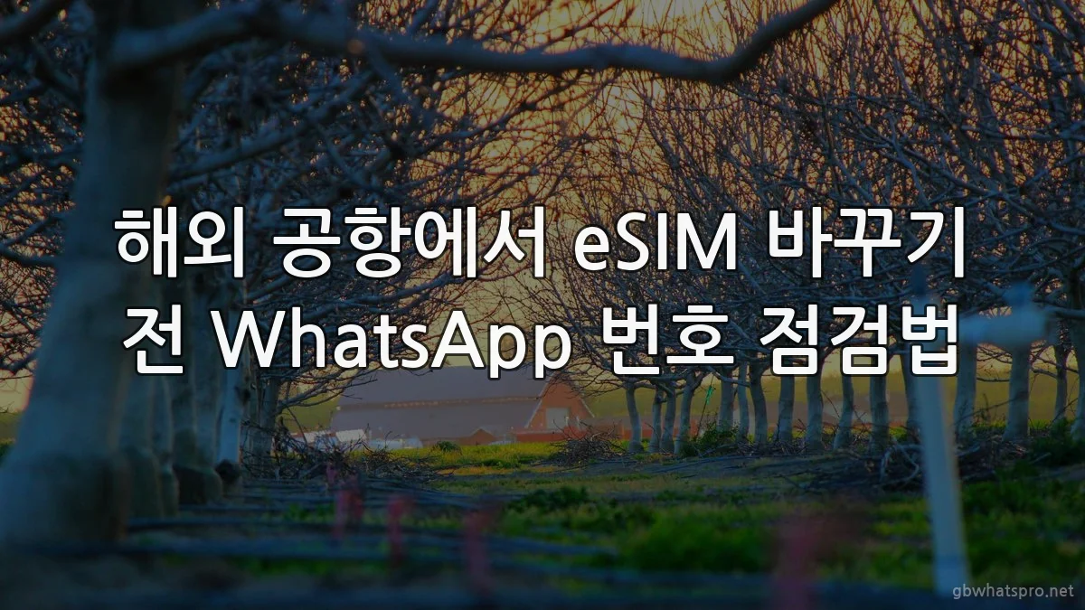 해외 공항에서 eSIM 바꾸기 전 WhatsApp 번호 점검법