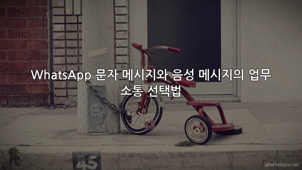 WhatsApp 문자 메시지와 음성 메시지의 업무 소통 선택법