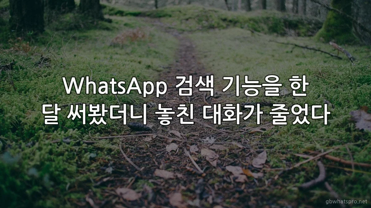 WhatsApp 검색 기능을 한 달 써봤더니 놓친 대화가 줄었다