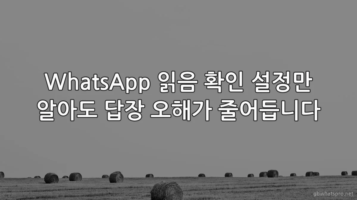 WhatsApp 읽음 확인 설정만 알아도 답장 오해가 줄어듭니다
