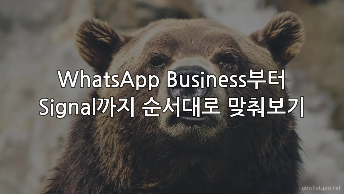 WhatsApp Business부터 Signal까지 순서대로 맞춰보기