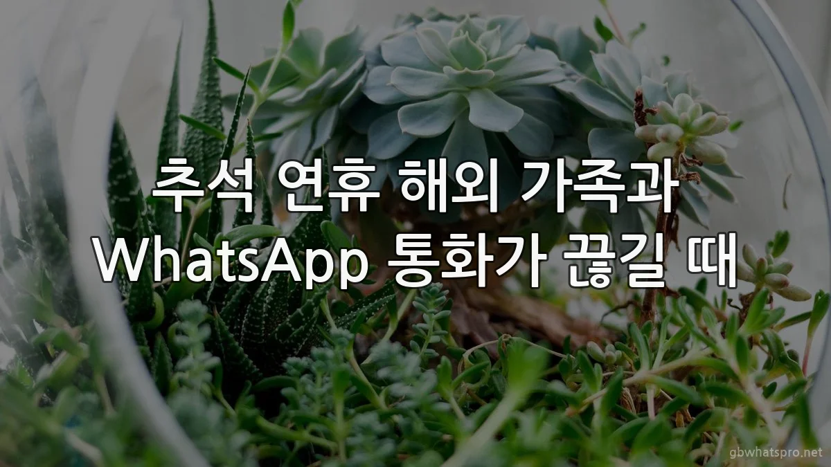 추석 연휴 해외 가족과 WhatsApp 통화가 끊길 때