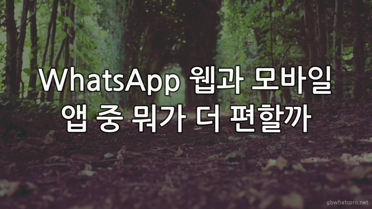 WhatsApp 웹과 모바일 앱 중 뭐가 더 편할까